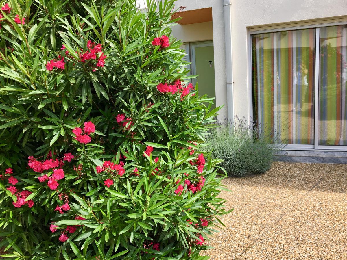 Amerique Hotel Palavas - Piscine - Plage エクステリア 写真